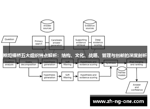 斯坦福桥五大组织特点解析：结构、文化、战略、管理与创新的深度剖析