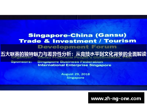 五大联赛的独特魅力与差异性分析：从竞技水平到文化背景的全面解读