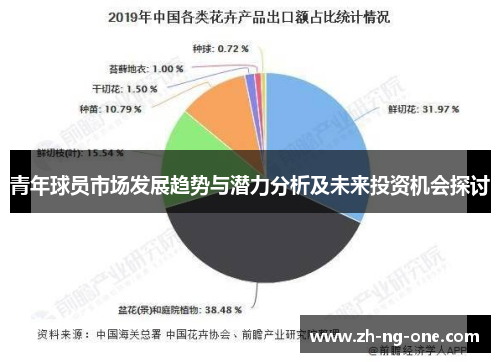 青年球员市场发展趋势与潜力分析及未来投资机会探讨 青年球员市场发展趋势与潜力分析及未来投资机会探讨